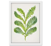 Doppelganger33 LTD Royal Fern Leaf Modern Watercolour Botanical Artwork Framed A3 Wall Art Print