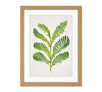 Doppelganger33 LTD Royal Fern Leaf Modern Watercolour Botanical Artwork Framed Wall Art Print 18X24 Inch