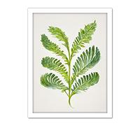 Doppelganger33 LTD Royal Fern Leaf Modern Watercolour Botanical Artwork Framed Wall Art Print 18X24 Inch