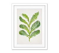 Doppelganger33 LTD Royal Fern Leaf Modern Watercolour Botanical Artwork Framed Wall Art Print 18X24 Inch