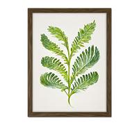 Doppelganger33 LTD Royal Fern Leaf Modern Watercolour Botanical Artwork Framed Wall Art Print 18X24 Inch