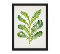 Doppelganger33 LTD Royal Fern Leaf Modern Watercolour Botanical Artwork Framed Wall Art Print 18X24 Inch