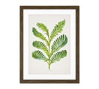 Doppelganger33 LTD Royal Fern Leaf Modern Watercolour Botanical Artwork Framed Wall Art Print 18X24 Inch