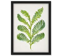 Doppelganger33 LTD Royal Fern Leaf Modern Watercolour Botanical Artwork Framed Wall Art Print A4