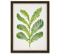 Doppelganger33 LTD Royal Fern Leaf Modern Watercolour Botanical Artwork Framed Wall Art Print A4