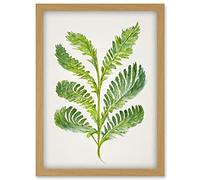 Doppelganger33 LTD Royal Fern Leaf Modern Watercolour Botanical Artwork Framed Wall Art Print A4