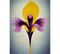 Doppelganger33 LTD Simple Elegant Single Orchid Purple Yellow Large Wall Art Poster Print Thick Paper 18X24 Inch
