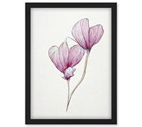Doppelganger33 LTD Simple Pink Cyclamen Flower Modern Watercolour Illustration Minimalist Artwork Framed Wall Art Print A4