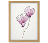 Doppelganger33 LTD Simple Pink Cyclamen Flower Modern Watercolour Illustration Minimalist Artwork Framed Wall Art Print A4