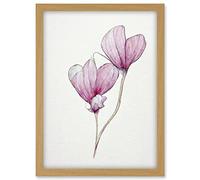 Doppelganger33 LTD Simple Pink Cyclamen Flower Modern Watercolour Illustration Minimalist Artwork Framed A3 Wall Art Print