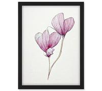 Doppelganger33 LTD Simple Pink Cyclamen Flower Modern Watercolour Illustration Minimalist Artwork Framed A3 Wall Art Print