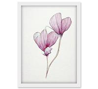 Doppelganger33 LTD Simple Pink Cyclamen Flower Modern Watercolour Illustration Minimalist Artwork Framed Wall Art Print A4
