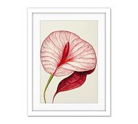 Doppelganger33 LTD Single Red Laceleaf Flower Illustration Anthurium Artwork Framed Wall Art Print 18X24 Inch