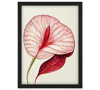 Doppelganger33 LTD Single Red Laceleaf Flower Illustration Anthurium Artwork Framed Wall Art Print A4