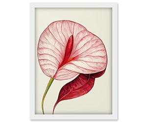 Doppelganger33 LTD Single Red Laceleaf Flower Illustration Anthurium Artwork Framed Wall Art Print A4