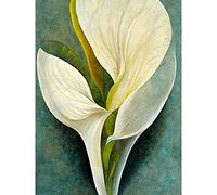 Doppelganger33 LTD Single White Calla Lily Flower Petal Detail Modern Large Wall Art Poster Print Thick Paper 18X24 Inch