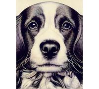 Doppelganger33 LTD Springer Spaniel Puppy Dog Portrait Drawing Large Wall Art Poster Print Thick Paper 18X24 Inch