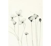 Doppelganger33 LTD Stylish Flower Illustration Line Drawing with Black Ink Large Wall Art Poster Print Thick Paper 18X24 inch