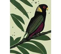 Doppelganger33 LTD Wild Parrot On Tree Branch Vintage Linocut Illustration Large Wall Art Poster Print Thick Paper 18X24 Inch