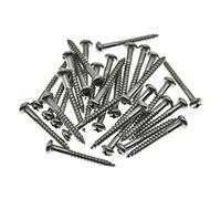 Dopro 30-Pack Stainless Steel Phillips Head Vintage-Style Guitar Tremolo Bridge Mounting Screws for Vintage FD Strat/Stratocaster