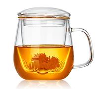 Dopudo Pavillion Glass Tea Cup with Infuser and Lid, 17.6oz/520ml Borosilicate Glass Large Mug for Loose Leaf & Blooming Tea, Clear