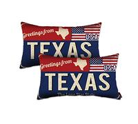 Doraloko Texas Throw Pillow Cover 12x20 Set of 2, Texas Decor Gift Souvenir, American Flag License Plate Lumbar Pillowcase, Greetings from The Lone Star State(TX, USA) - Cushion Case Sham, No Inserts