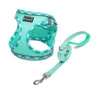 DORAMIO Step-in Dog Harness and Leash Set, Soft Mesh No-Chock Reflective Breathable Easy Walk Lightweight Vest Harnesses with Safety Buckle for Small Dogs, Cats, Puppies (Light Green, XS)