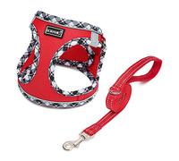 DORAMIO Step-in Dog Harness and Leash Set, Soft Mesh No-Chock Reflective Breathable Easy Walk Lightweight Vest Harnesses with Safety Buckle for Small Dogs, Cats, Puppies (Red, XXS)