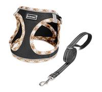 DORAMIO Step-in Dog Harness and Leash Set, Soft Mesh No-Chock Reflective Breathable Easy Walk Lightweight Vest Harnesses with Safety Buckle for Small Dogs, Cats, Puppies (Black Yellow, XXS)