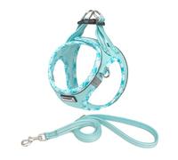 DORAMIO Step-in Dog Harness and Leash Set, Soft Mesh No-Chock Reflective Breathable Easy Walk Lightweight Vest Harnesses with Safety Buckle for Small Dogs, Cats, Puppies (Light Blue, XL)