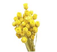 Dorccsi Dried Daisy Bouquet Natural Dry Flowers Decoration in Vase Table Floral 50 Stems Yellow Classic Daisy Bouquet