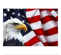 DORCEV 10x7ft American Flag Bald Eagle Backdrop Stars and Stripes US Flag Background for Memorial Day, 4th of July, Independence Day, Labor Day, Veterans, Patriotic Party, Retirement Party Decors
