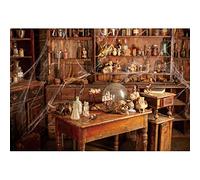 DORCEV 10x7ft Old Abandoned Chemistry Laboratory Photography Backdrop Background Poison Bottles Skeleton Lab Scary Halloween Party Decorations Spooky Witch's Room Black Magic Lab Backdrop Banner