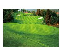 DORCEV 15x8ft Golf Course Background for Photography Green Grass Spring Natural Scenery Golf Themed Backdrop Golf Banquet Decor Golf Sports Party Baby Shower Birthday Party Supplies Studio Props