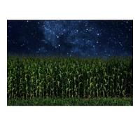 DORCEV 6x4ft Cornfield Backdrop Banner Starry Sky Night Corn Field Photography Background Green Corn Stalks Rural Crops Countryside Autumn Farm Harvest Party Decoration Photoshoot Photo Booth Props