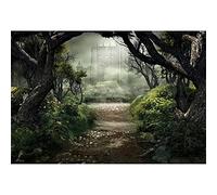 DORCEV 6x4ft Gothic Halloween Party Backdrop Terror Old Abandoned Castle Scary Night Gloomy Misty Forest Woodland Photography Background Halloween Eve Events Background Kids Art Portrait Photo