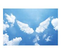 DORCEV 7x5ft Angel Wings Photography Backdrop for Birthday Party Gender Reveal Party Baby Shower Background Heaven Angel Wings Blue Sky White Cloud Party Banner Girls Photo Studio Props