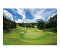 DORCEV 7x5ft Golf Course Background for Photography Green Grass Spring Natural Scenery Golf Themed Photo Backdrop for Golf Banquet Decor Blue Sky White Clouds Golf Sports Birthday Party Supplies