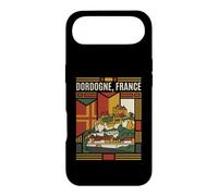 Dordogne France Flag Castles Vintage Travel Graphic Case for iPhone Air