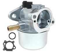 DORFEY 799868 Carburetor Fits 498170 497586 497314 698444 498254 4-7 Engines Replacement Carburetor Gasket O-Ring 497410 499617 692648