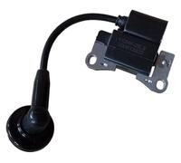 DORFEY ZhongfaTec 1E34F-2E Ignition Coil 1E34F-2E 1E34F-2E.3 Fit For KASEI TLE26 CG260 BC260 Magnetic Stator,ZF-IG-A00746