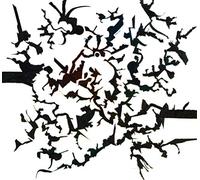 Dorian Concept - Joined Ends