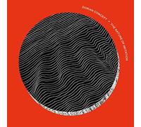 Dorian Concept - The Nature Of Imitation [VINYL]