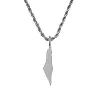 d'origine Palestine Men's Map Chain 316L Stainless Steel 60 cm 27 mm Pendant Matte Sandblasted with Polished Contour Gift Home Roots, 60 cm, Stainless Steel, No Gemstone