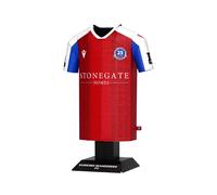 Dorking Wanderers FC 24/25 Home Shirt