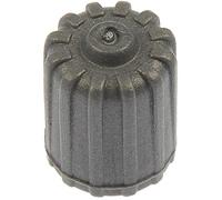 Dorman 609-130 TPMS Grey Plastic Sealing Valve Cap, Pack of 50