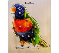 Doron Layeled Large Wooden Parrot Peg Eco Friendly, Educational, Montessori, Colourful Wood Puzzle for Toddlers. E72510250 Suitable 3 Years +, Multi