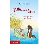 Dorothée Böhlke Billie & Stüx. Ein Pony fällt vom Himmel: Ferien in B (Hardback)