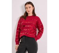 Dorothy Perkins Cranberry Sequin Stripe Jumper cranberry