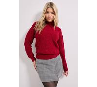 Dorothy Perkins Cranberry Twisted Cable Funnel Longline Jumper cranberry XL